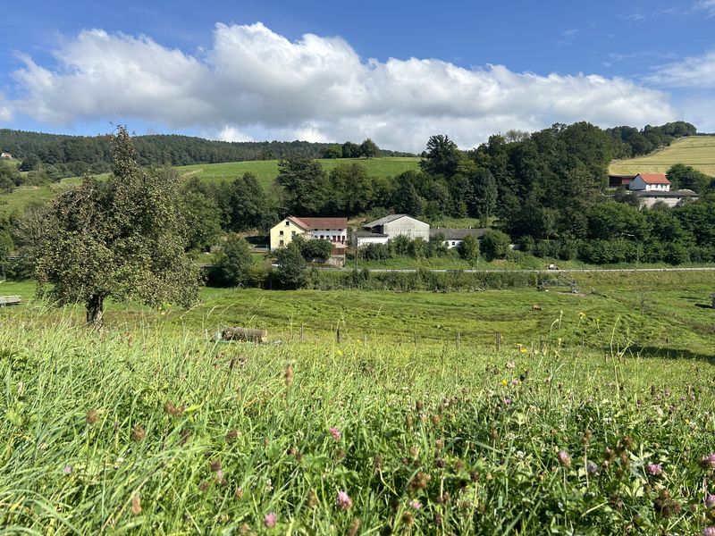 Seltene Gelegenheit: Bauernhofanwesen mit 3.500 m² Grundstück und 800 m² Nebengebäuden